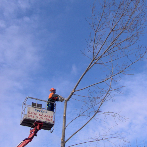 Attivit‡ addestrativa 17 e 18/01 n. 11 / 34192