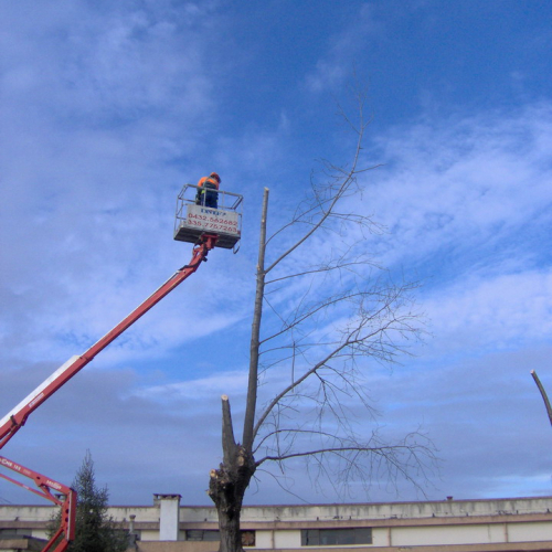 Attivit‡ addestrativa 17 e 18/01 n. 12 / 34193