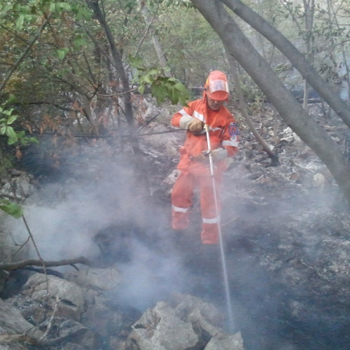 Incendio boschivo a Visogliano n. 2 / 70438