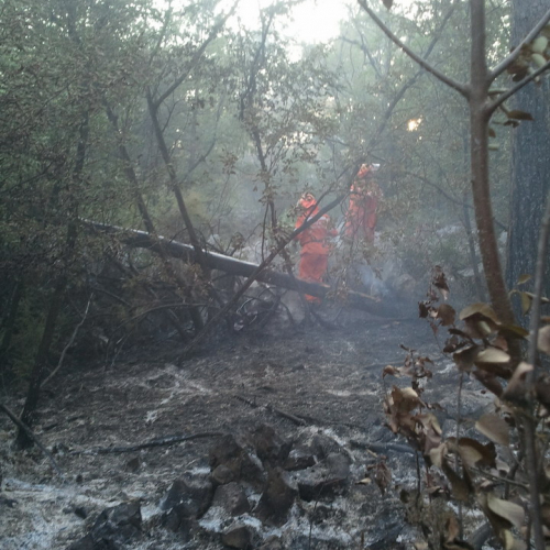 Incendio boschivo a Visogliano n. 4 / 70440