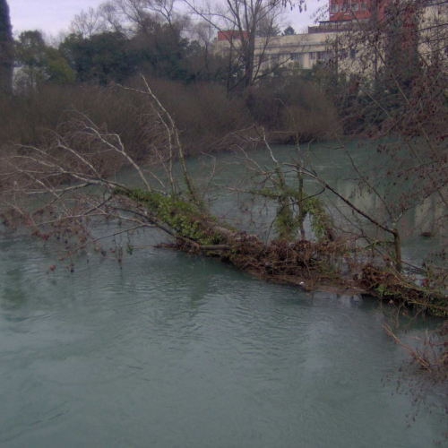 Intervento volontari 02/01 n. 1 / 59937