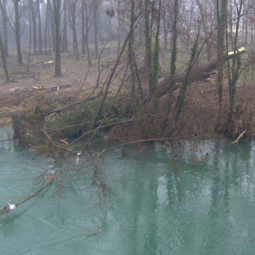 Intervento volontari 07/01 n. 42 / 59983