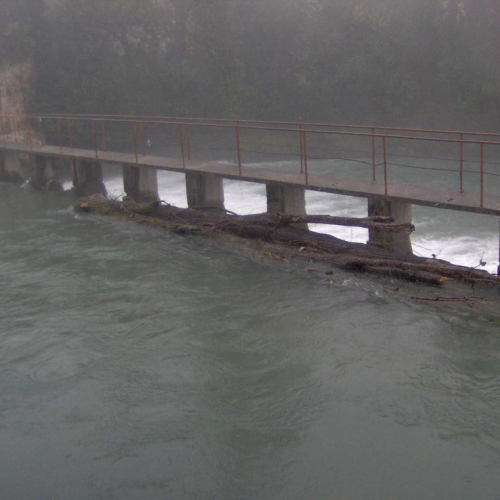 Intervento volontari 09/01 n. 1 / 59986