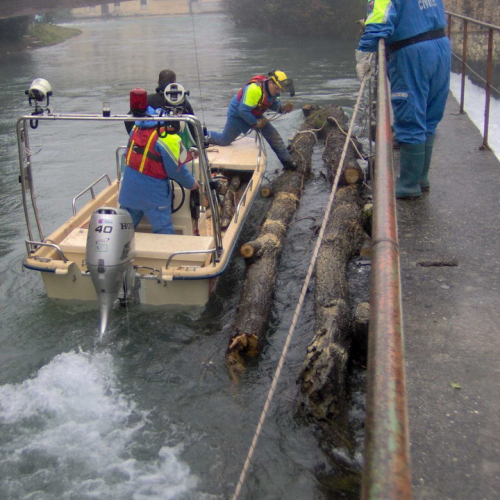 Intervento volontari 09/01 n. 3 / 59988