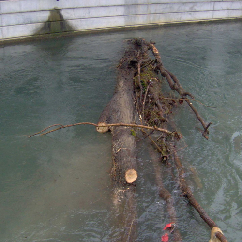 Intervento volontari 09/01 n. 4 / 59989