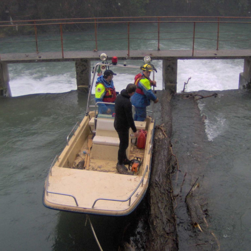 Intervento volontari 09/01 n. 5 / 59990