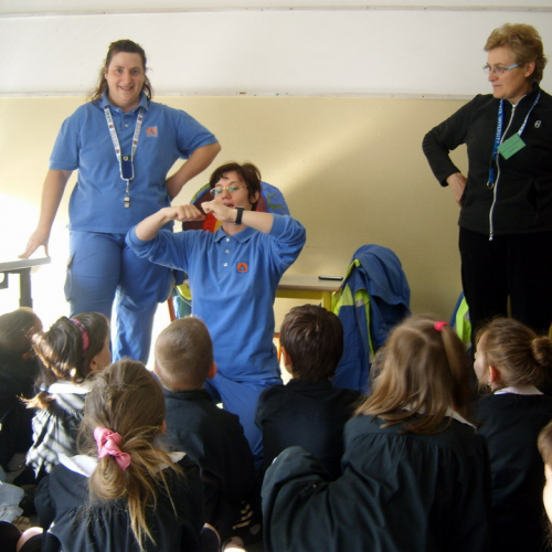 Attivit‡ Scuola Primaria Rualis n. 2 / 65381