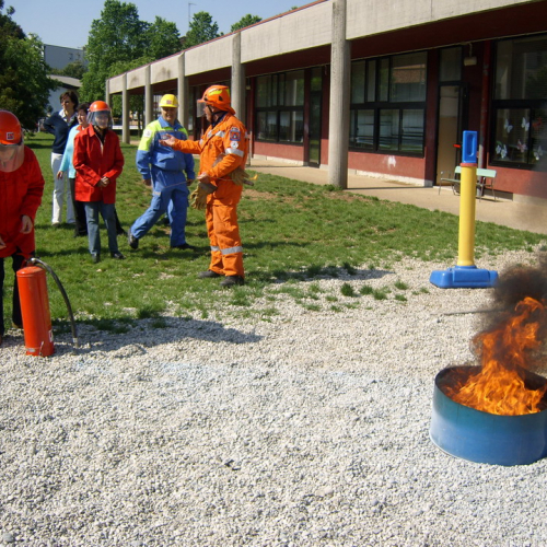 Attivit‡ Scuola Primaria Rualis n. 9 / 65388