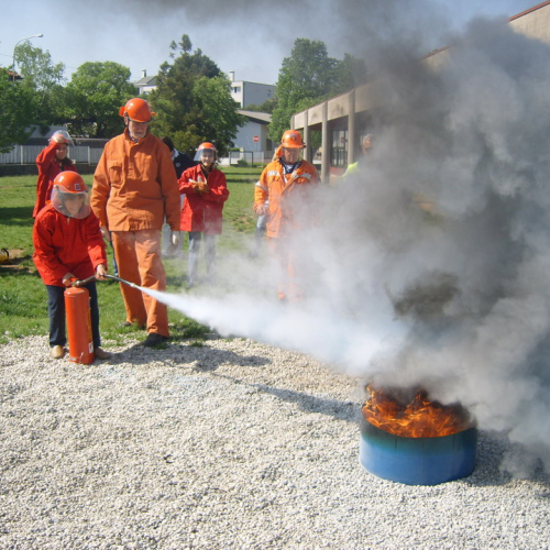 Attivit‡ Scuola Primaria Rualis n. 10 / 65389