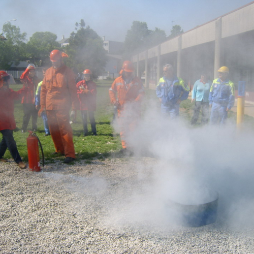 Attivit‡ Scuola Primaria Rualis n. 11 / 65390