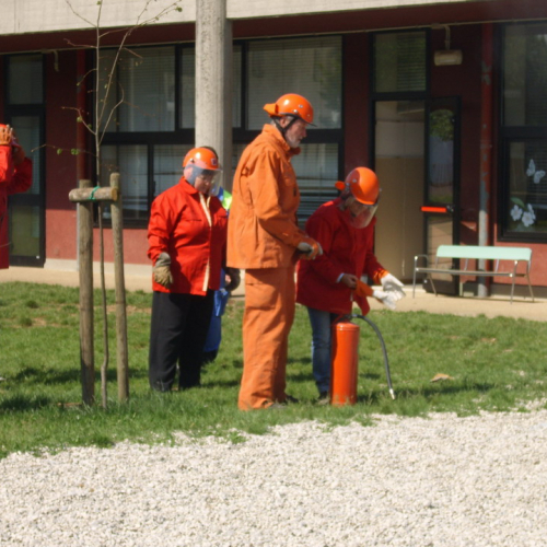 Attivit‡ Scuola Primaria Rualis n. 12 / 65391