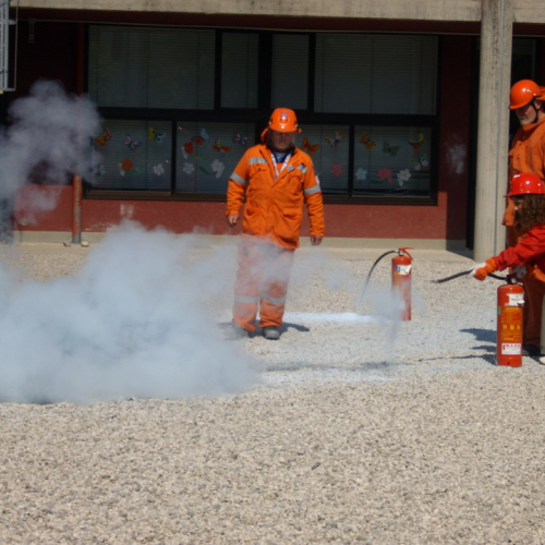 Attivit‡ Scuola Primaria Rualis n. 14 / 65393