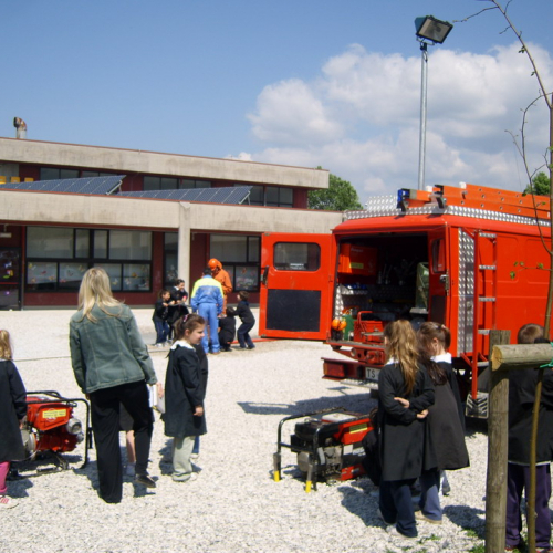 Attivit‡ Scuola Primaria Rualis n. 18 / 65397