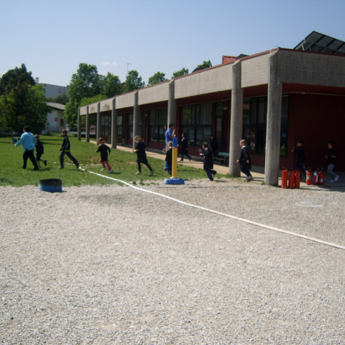 Attivit‡ Scuola Primaria Rualis n. 23 / 65402