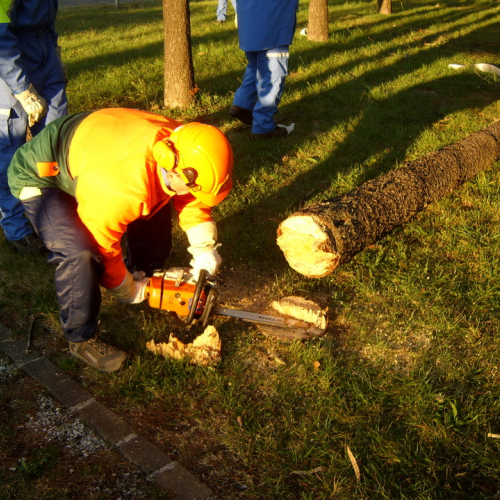 Addestramento 15/10/11 n. 1 / 71314