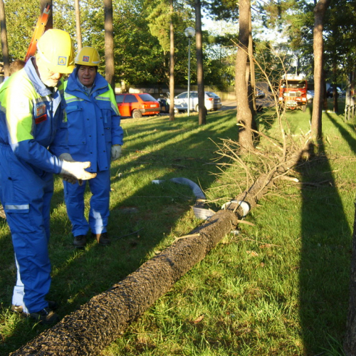 Addestramento 15/10/11 n. 5 / 71318