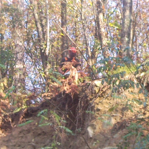 Volontari impegnati a Beverino e a Borghetto Val di Vara n. 21 / 72616