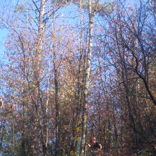 Volontari impegnati a Beverino e a Borghetto Val di Vara n. 22 / 72617