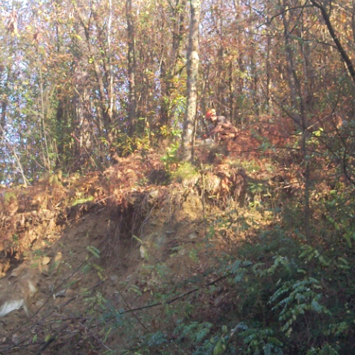 Volontari impegnati a Beverino e a Borghetto Val di Vara n. 23 / 72618