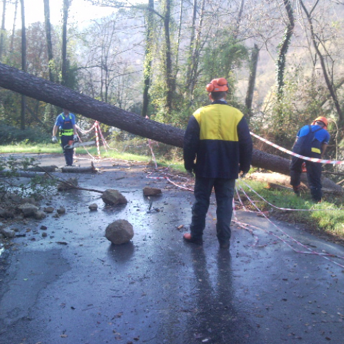 Volontari impegnati a Beverino e a Borghetto Val di Vara n. 24 / 72619