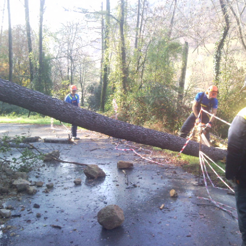 Volontari impegnati a Beverino e a Borghetto Val di Vara n. 25 / 72620