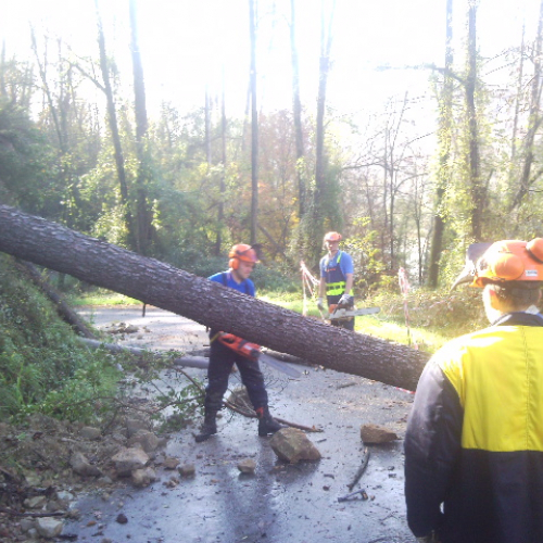 Volontari impegnati a Beverino e a Borghetto Val di Vara n. 26 / 72621