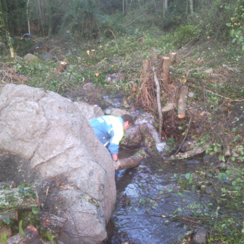 Volontari impegnati a Beverino e a Borghetto Val di Vara n. 28 / 72623