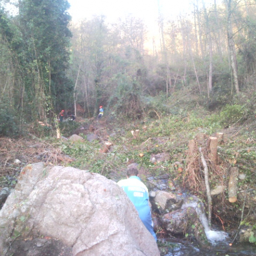 Volontari impegnati a Beverino e a Borghetto Val di Vara n. 29 / 72624