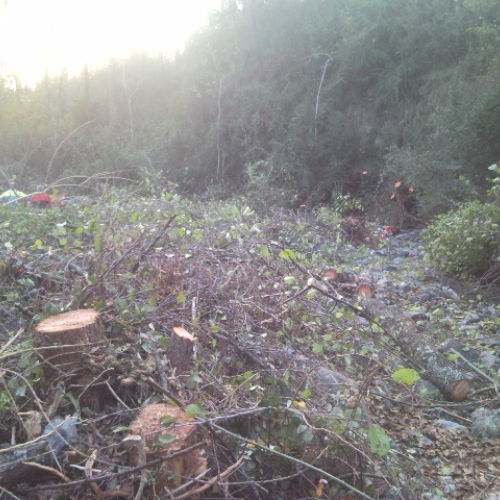 Volontari impegnati a Beverino e a Borghetto Val di Vara n. 30 / 72625