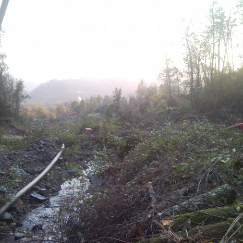 Volontari impegnati a Beverino e a Borghetto Val di Vara n. 32 / 72627