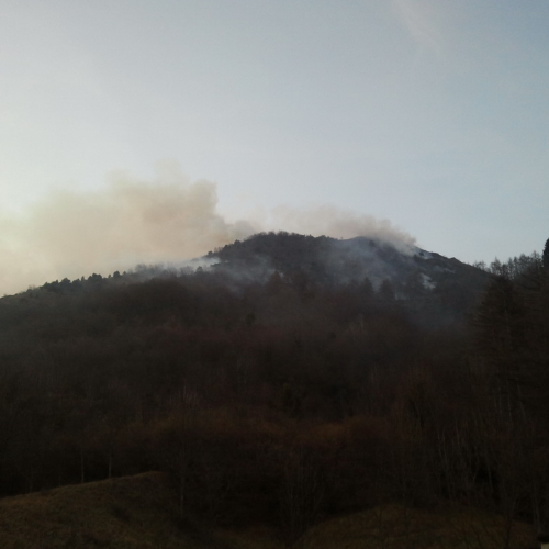 Incendio boschivo del 30-31/01/2012 n. 1 / 74924