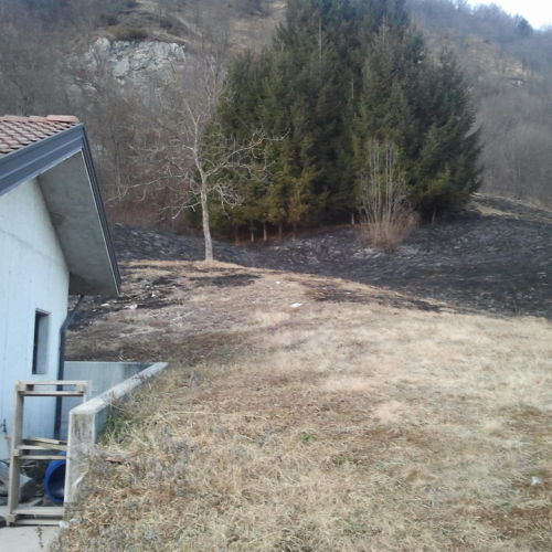 Incendio boschivo del 30-31/01/2012 n. 2 / 74925