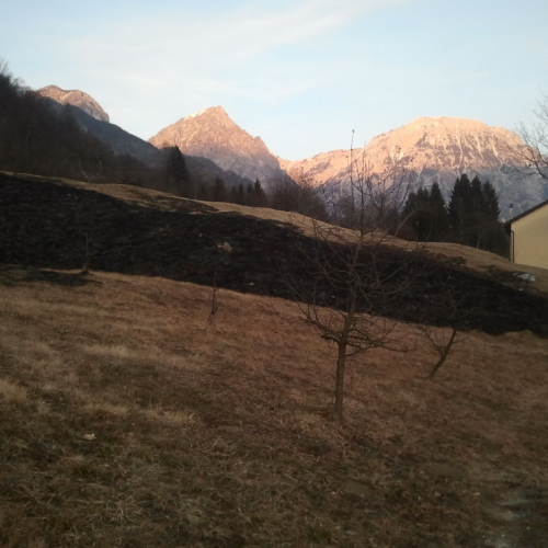 Incendio boschivo del 30-31/01/2012 n. 3 / 74926