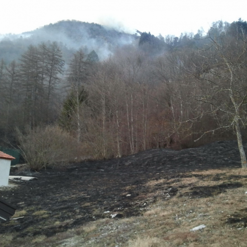 Incendio boschivo del 30-31/01/2012 n. 4 / 74927
