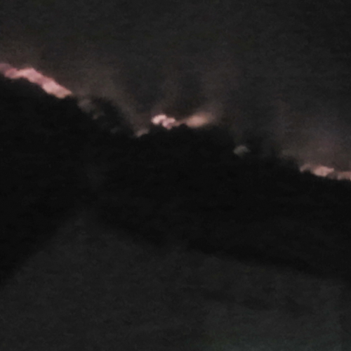 Incendio boschivo del 30-31/01/2012 n. 5 / 74928