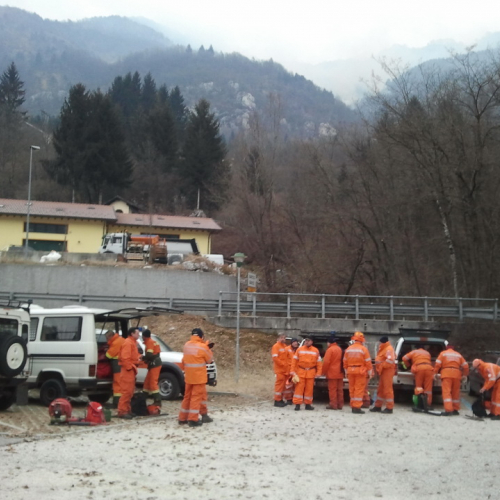 Incendio boschivo del 30-31/01/2012 n. 7 / 74930