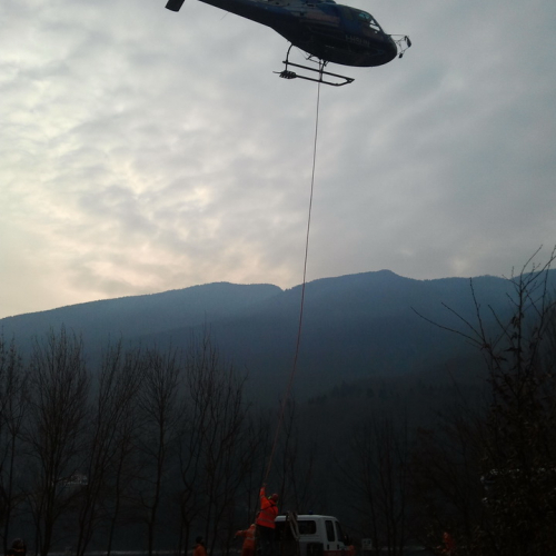 Incendio boschivo del 30-31/01/2012 n. 12 / 74935
