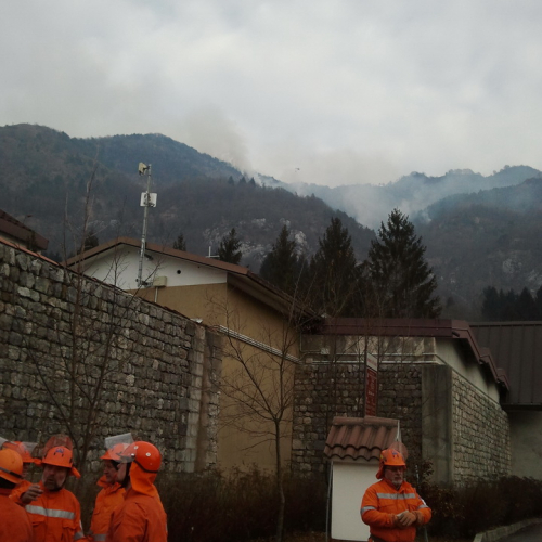 Incendio boschivo del 30-31/01/2012 n. 18 / 74941