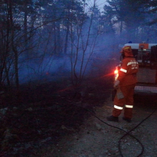 Incendio boschivo a Fernetti n. A 3 / 76936