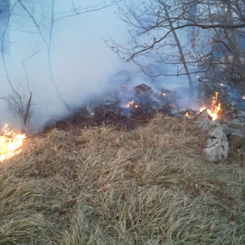 Incendio boschivo a Fernetti n. A 6 / 76939