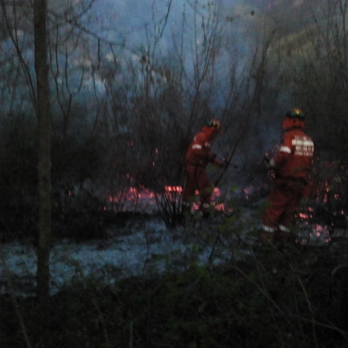 Incendio boschivo a Montereale Valcellina n. 2 / 79157