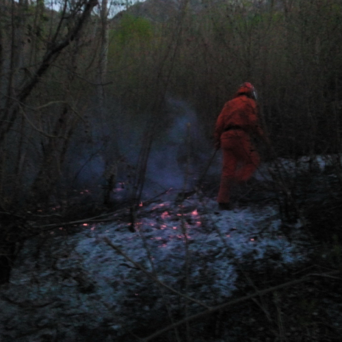 Incendio boschivo a Montereale Valcellina n. 3 / 79158