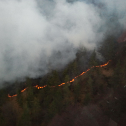 Immagini del 28/03 n. 1 / 79153