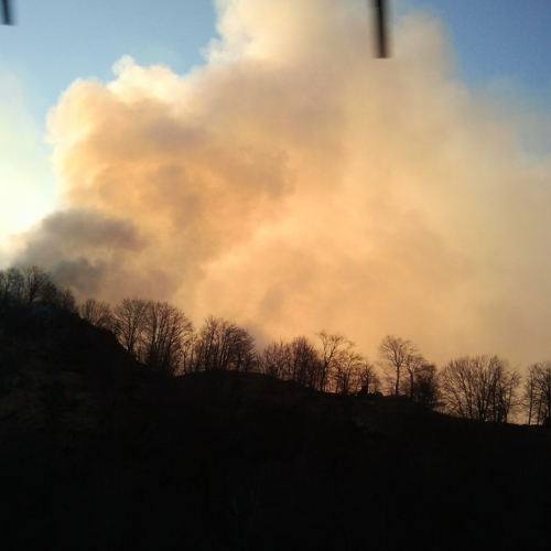 Immagini del 28/03 n. 2 / 79154