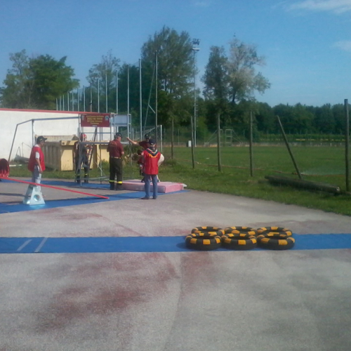 Attivit‡ con le scuole n. 11 / 82397