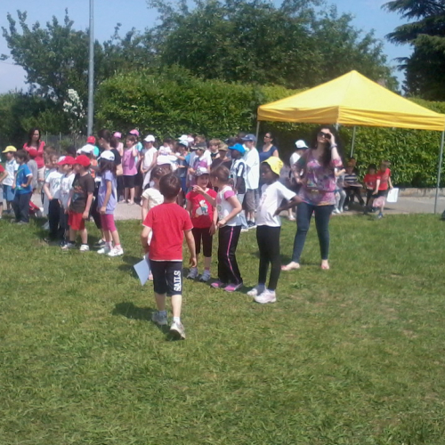 Attivit‡ con le scuole n. 24 / 82410
