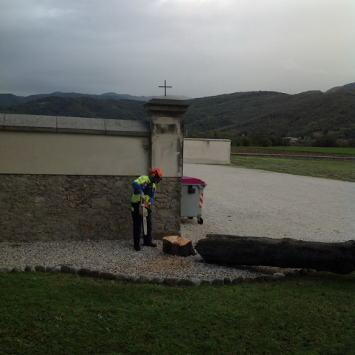 Abbattimento albero pericolante Cimitero Purgessimo n. 10 / 87370