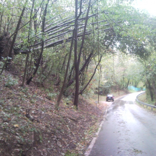 Interventi volontari 01/11/2012 n. 1 / 87654