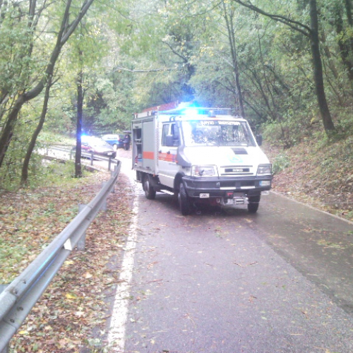 Interventi volontari 01/11/2012 n. 12 / 87665