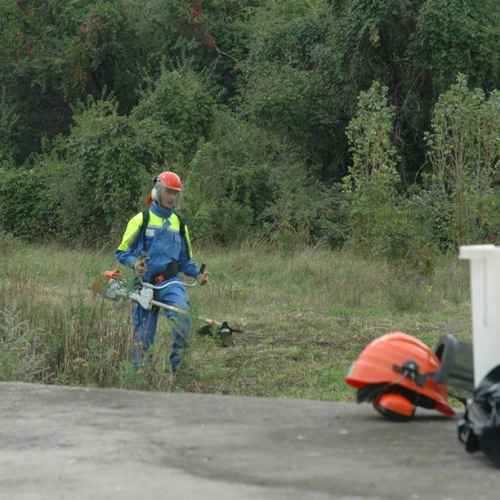 Pulizia sito del vascone antincendio di Trebiciano n. 21 / 86484